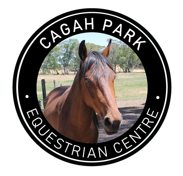 Cagah Park Equestrian Centre - Quality Horse Riding Lessons in Birdwood, Adelaide Hills