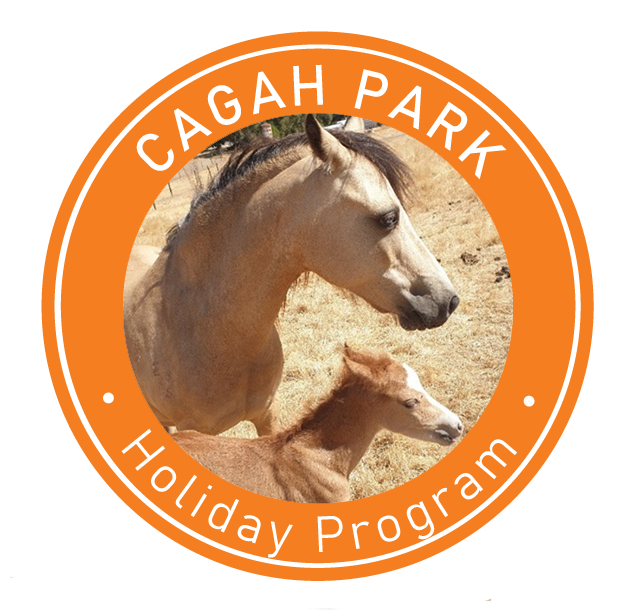Cagah Park Equestrian Centre - Holiday Program