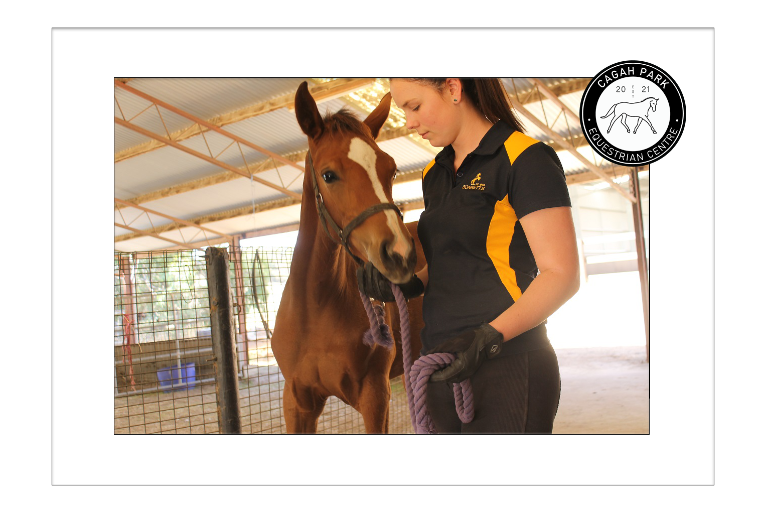 Cagah Park Equestrian Centre - Caitlin Howship provides quality horse riding lessons 
