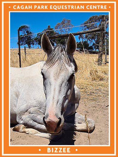 Cagah Park Equestrian Centre - Bizzee