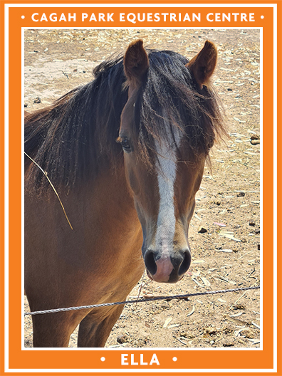 Cagah Park Equestrian Centre - Ella