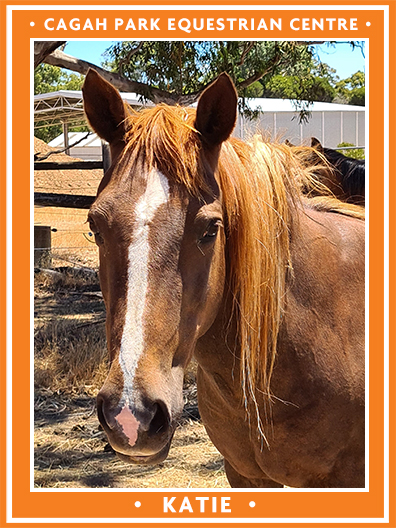 Cagah Park Equestrian Centre - Katie