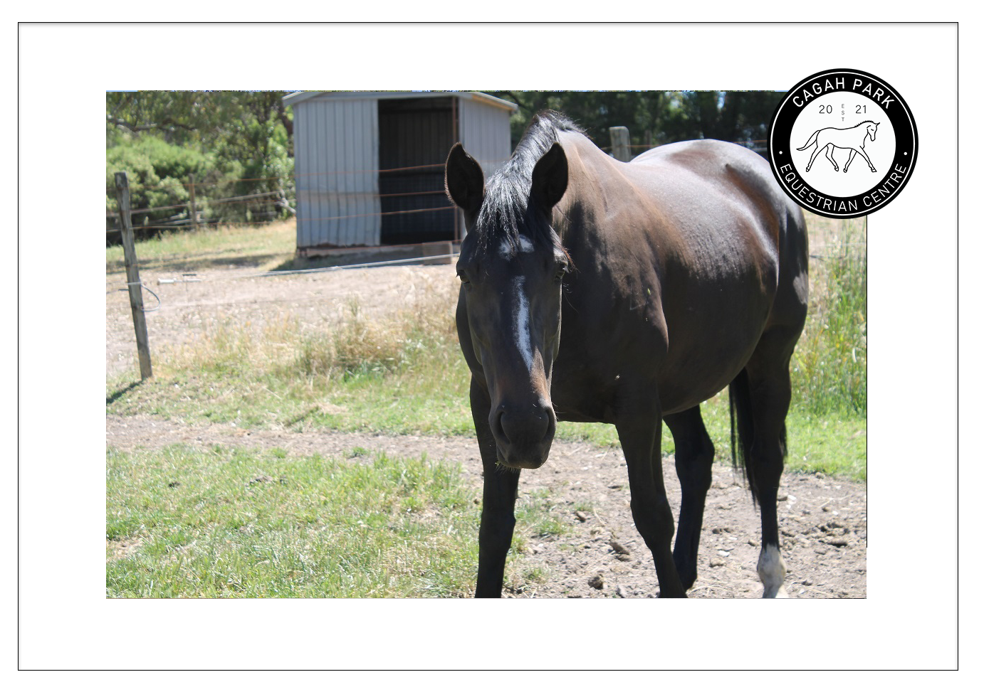 Cagah Park Equestrian Centre Birdwood