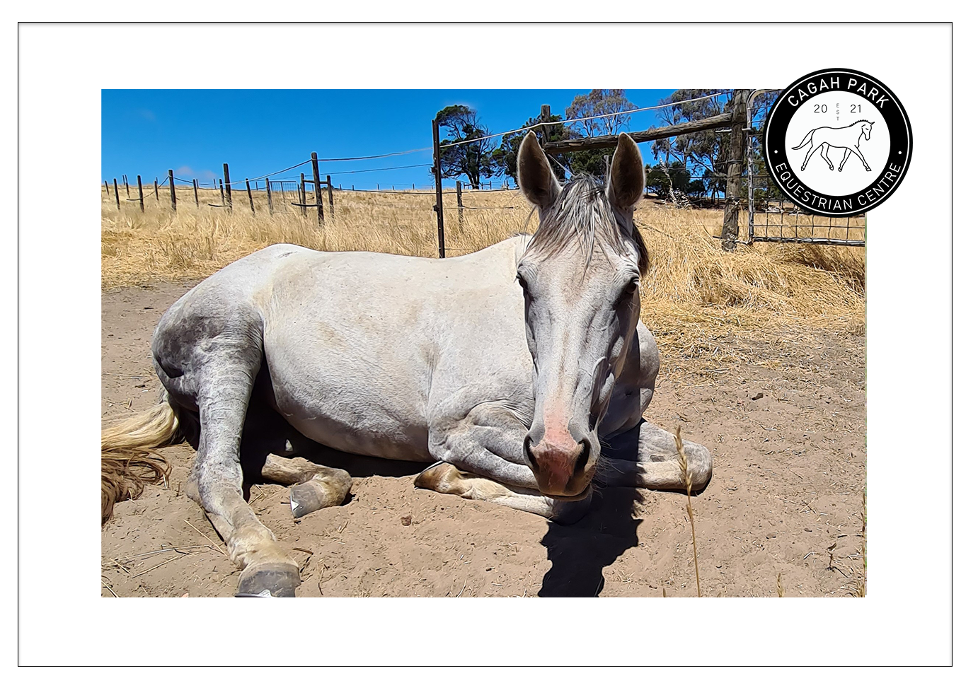 Cagah Park Equestrian Centre Birdwood Adelaide Hills