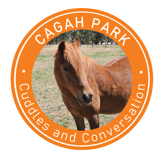 Cagah Park Equestrian Centre - Cuddles and Conversation